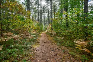 16 Ghia Ln, Fryeburg, ME 04037 - Photo 53