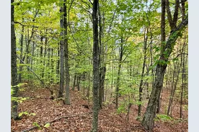 20 Kittridge Brook Road, West Paris, ME 04289 - Photo 17