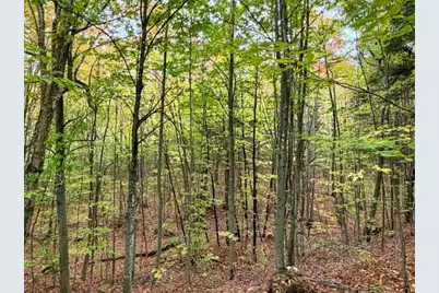 20 Kittridge Brook Road, West Paris, ME 04289 - Photo 15