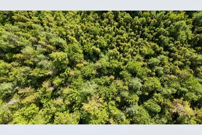 Map 7 Lot 8-1 Cushing Road, Cushing, ME 04563 - Photo 9