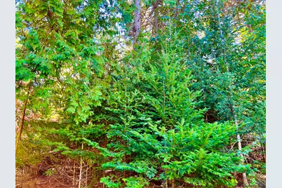 7 Driftwood Way, Mount Desert, ME 04660 - Photo 67