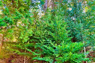 7 Driftwood Wy, Mount Desert, ME 04660 - Photo 67
