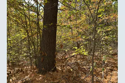 490 Branch Mills Road, Palermo, ME 04354 - Photo 33
