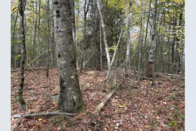 490 Branch Mills Road, Palermo, ME 04354 - Photo 23