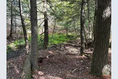 490 Branch Mills Road, Palermo, ME 04354 - Photo 5
