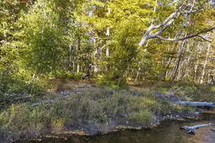 252 Swift River Rd, Byron, ME 04275 - Photo 65