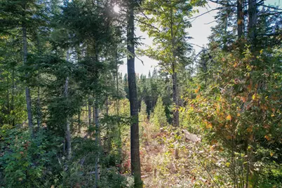Lot #28 Mariaville Road, Mariaville, ME 04605 - Photo 11