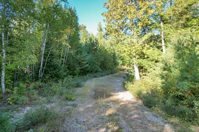 Lot #28 Mariaville Road, Mariaville, ME 04605 - Photo 9