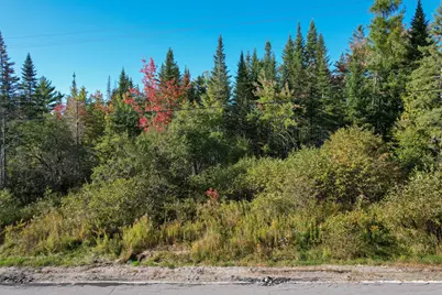 Lot #28 Mariaville Road, Mariaville, ME 04605 - Photo 15