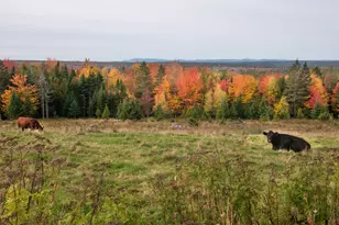 118 Ackley Farm Rd, Blue Hill, ME 04614 - Photo 41