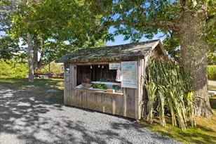 118 Ackley Farm Rd, Blue Hill, ME 04614 - Photo 39