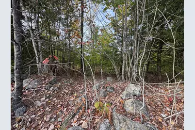 Lot 11 Spring Road, Newfield, ME 04095 - Photo 11