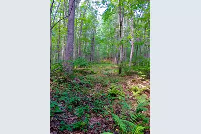 265 Webber Hill Road, Kennebunk, ME 04043 - Photo 1