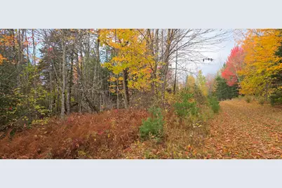 Lot 27 Murray Road, Thorndike, ME 04986 - Photo 3