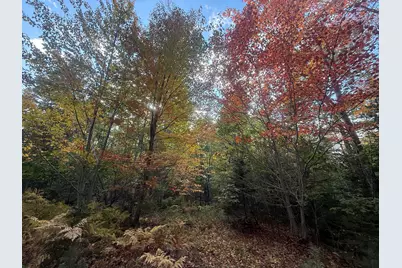 11&15 Bagaduce Lane, Sedgwick, ME 04676 - Photo 5