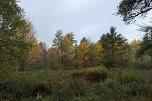 27 Town Farm Rd, Greenbush, ME 04418 - Photo 17