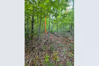 63 Sun Valley Drive, Hiram, ME 04041 - Photo 1