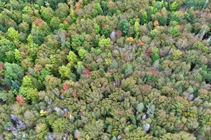 Lot 6 Brewer Rd, Cary, ME 04471 - Photo 25