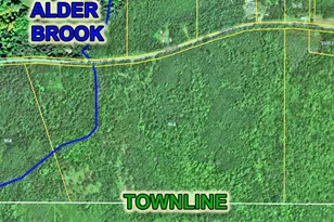 Lot 6 Brewer Rd, Cary, ME 04471 - Photo 3
