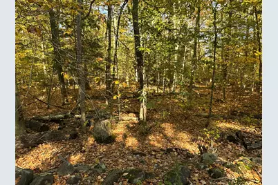 4Acres Deering Ridge Road, Waterboro, ME 04087 - Photo 3