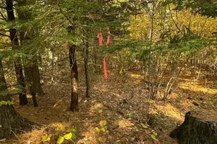 4Acres Deering Ridge Rd, Waterboro, ME 04087 - Photo 1