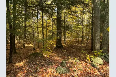 4Acres Deering Ridge Road, Waterboro, ME 04087 - Photo 5