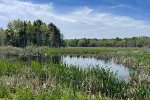 343 Clement Point Rd, Warren, ME 04864 - Photo 1
