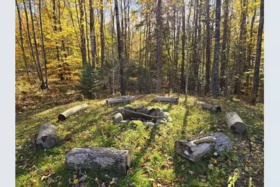 113 Weeks Mills Road, Farmington, ME 04938 - Photo 47