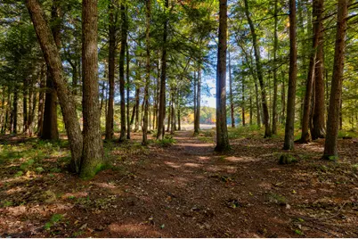 426 Lake House Road, Naples, ME 04055 - Photo 47