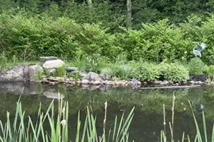 257 Gibbs Mill Rd, Livermore, ME 04253 - Photo 47