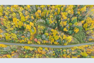 Lot #41-02 Forest Brook Drive, Abbot, ME 04406 - Photo 7