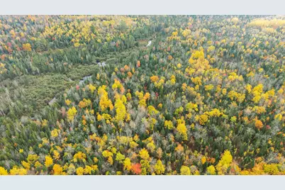 Lot #41-02 Forest Brook Drive, Abbot, ME 04406 - Photo 5