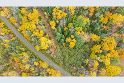 Lot #41-03 Forest Brook Drive, Abbot, ME 04406 - Photo 13