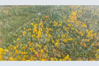 Lot #41-03 Forest Brook Drive, Abbot, ME 04406 - Photo 3