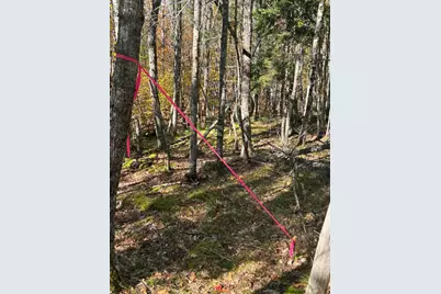 00 Mountain Road, Woolwich, ME 04579 - Photo 11