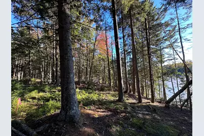 Lot 20-15 Collins Cove Road, Machiasport, ME 04655 - Photo 15