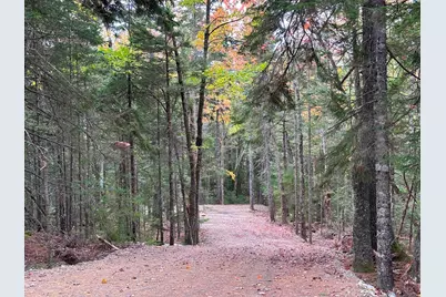 Lot 20-15 Collins Cove Road, Machiasport, ME 04655 - Photo 9