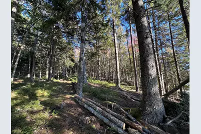 Lot 20-15 Collins Cove Road, Machiasport, ME 04655 - Photo 17