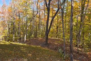 620 Streaked Mountain Rd, Buckfield, ME 04220 - Photo 59