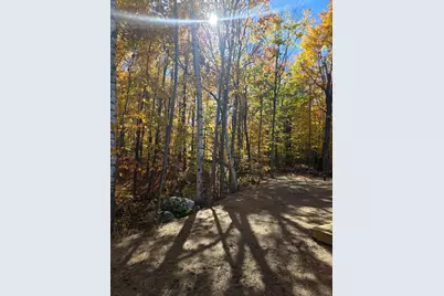 620 Streaked Mountain Road, Buckfield, ME 04220 - Photo 55
