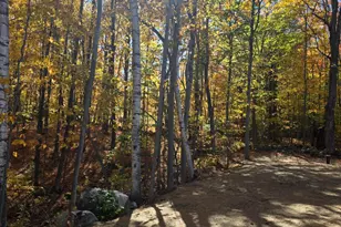 620 Streaked Mountain Rd, Buckfield, ME 04220 - Photo 55