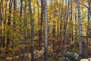 620 Streaked Mountain Rd, Buckfield, ME 04220 - Photo 63