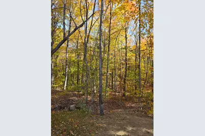 620 Streaked Mountain Road, Buckfield, ME 04220 - Photo 65