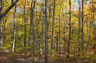 620 Streaked Mountain Rd, Buckfield, ME 04220 - Photo 65