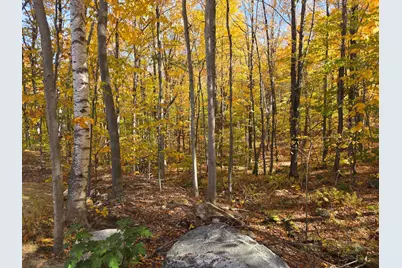 620 Streaked Mountain Road, Buckfield, ME 04220 - Photo 57