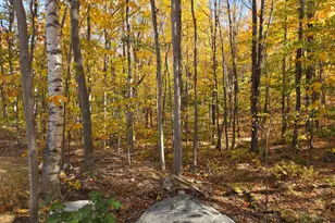 620 Streaked Mountain Rd, Buckfield, ME 04220 - Photo 57