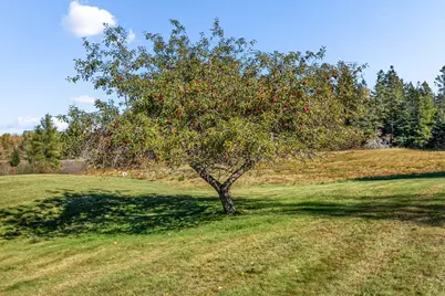 167 Jacksonville Road, East Machias, ME 04630 - Photo 15