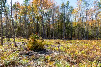 Tbd Webostra Road #TBD, Berwick, ME 03901 - Photo 29