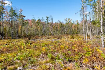 Tbd Webostra Road #TBD, Berwick, ME 03901 - Photo 21