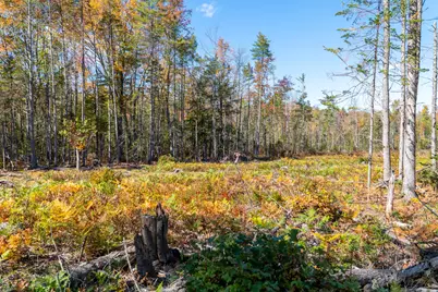 Tbd Webostra Road #TBD, Berwick, ME 03901 - Photo 27